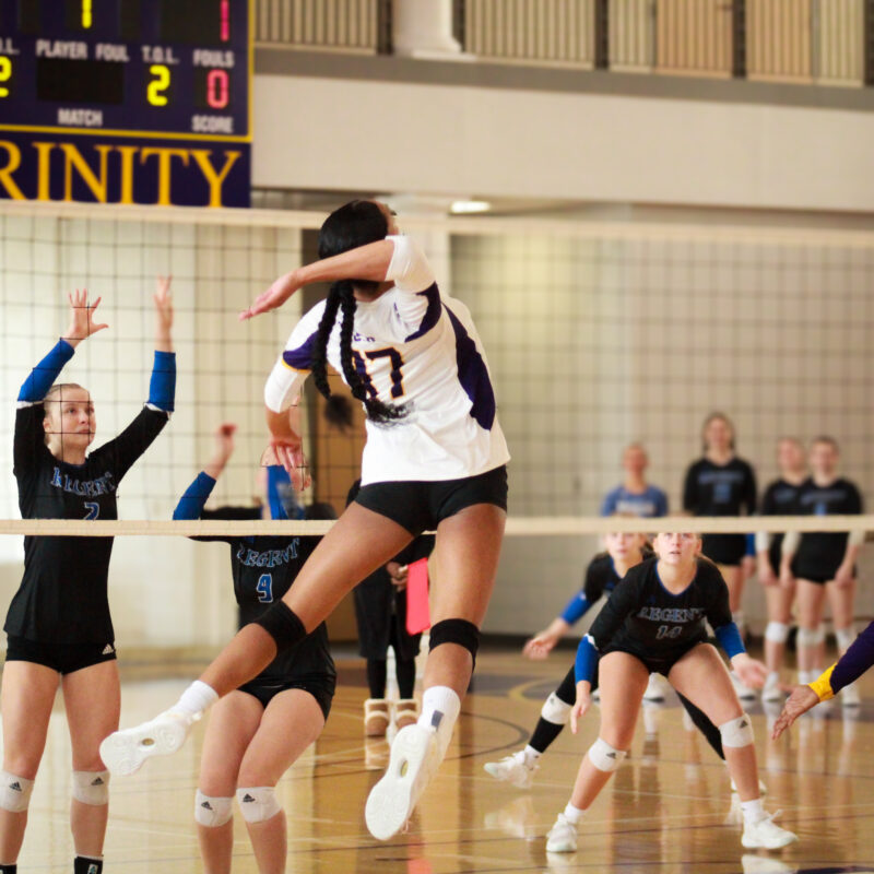 Trinity volleyball player hitting the ball